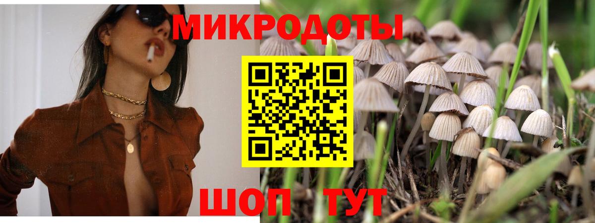 Галлюциногенные грибы GOLDEN TEACHER  Вход с VPN  Павловский Посад 